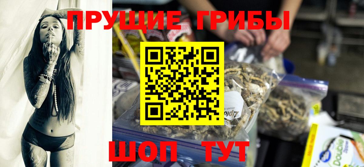 Псилоцибиновые грибы GOLDEN TEACHER  Вход с VPN  Можга 