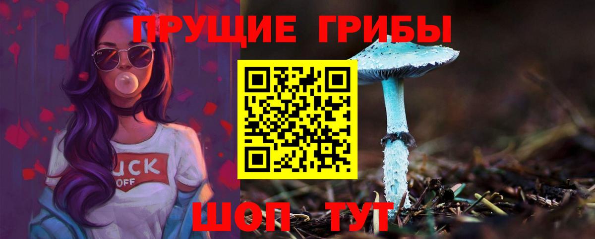 Галлюциногенные грибы ЛСД Можга